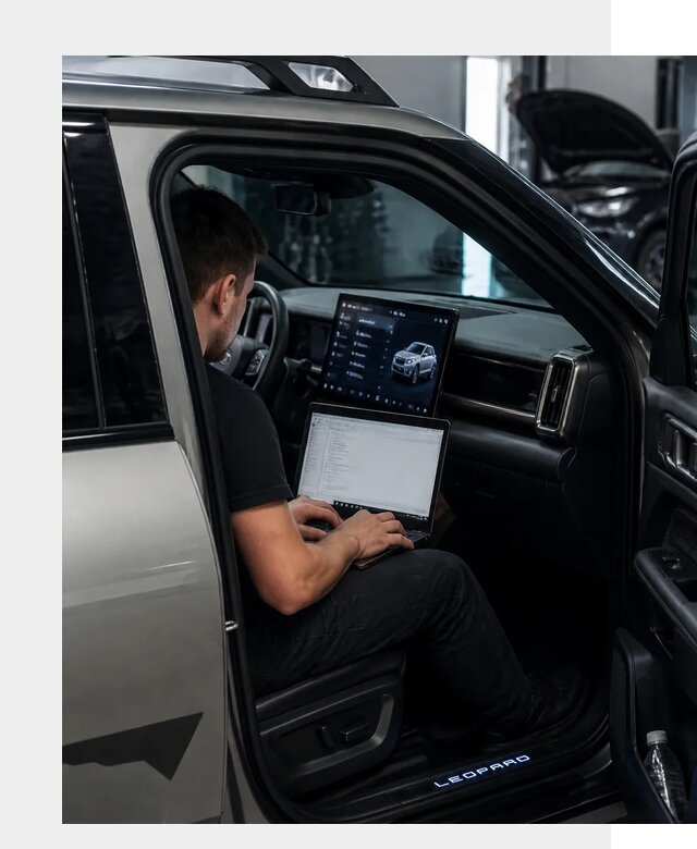 Русификация BYD Leopard 3 в Бирске по цене от 20684 р. | ФастМобиль-Брк